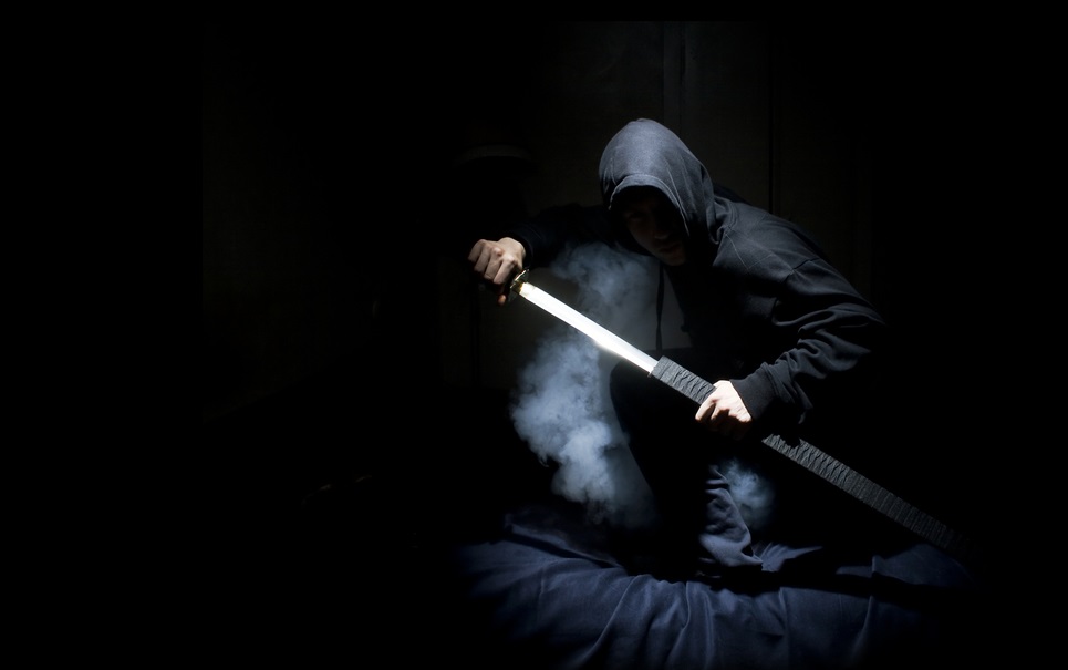 Shin Kage Ryu Ninjutsu-Brasil